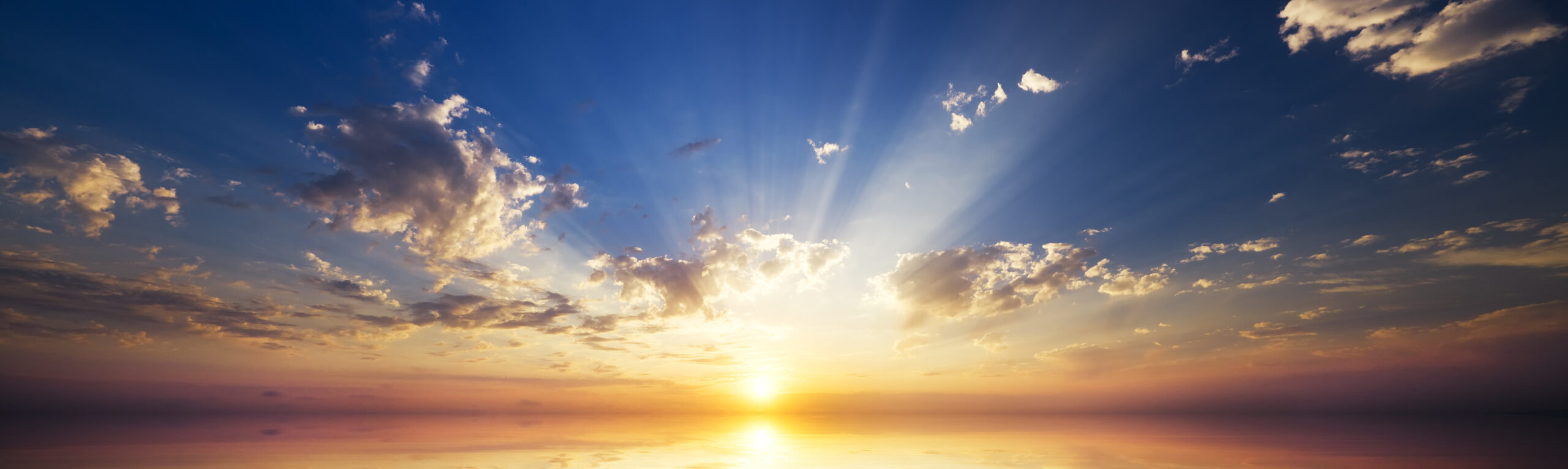 浮気調査や不倫調査に高い実績 30年の実績 ネゴサンライズ